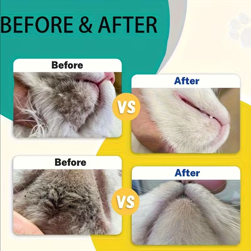 Cat Chin Acne Care Kit
