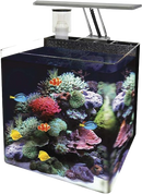 NANO MARINE TANK 34L