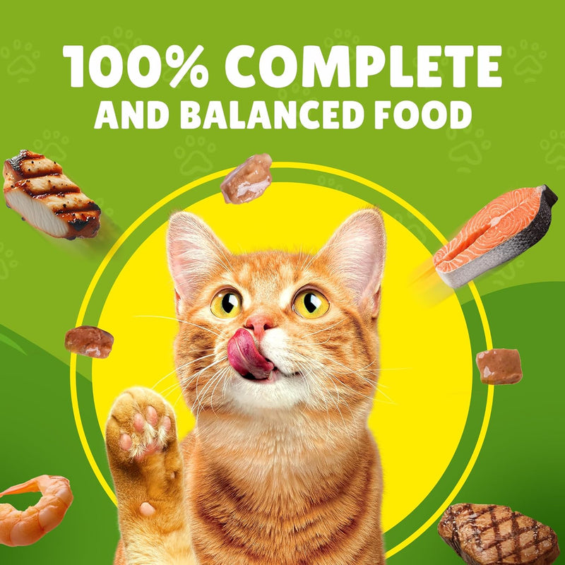 Purina Friskies Chicken Chunks in Gravy Wet Cat Food Pouch 85g