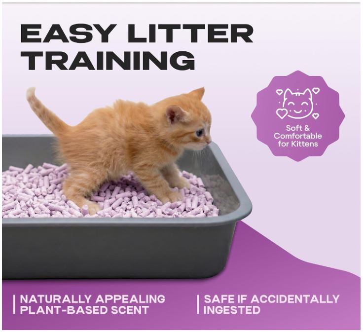 Cosmocat Lavender Scented Tofu Cat Litter