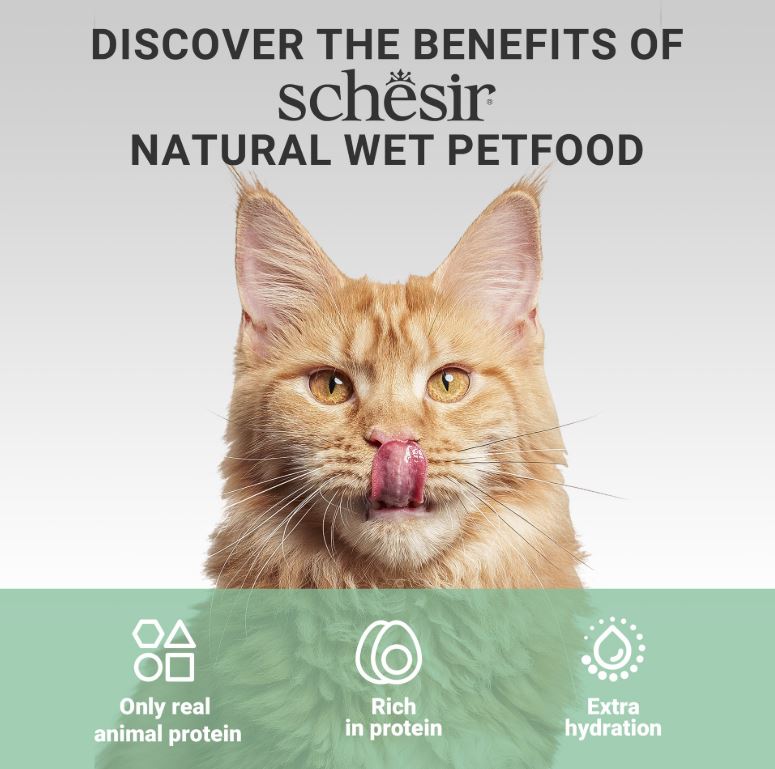 Schesir Tuna Cat Wet Food in Jelly Can 70g