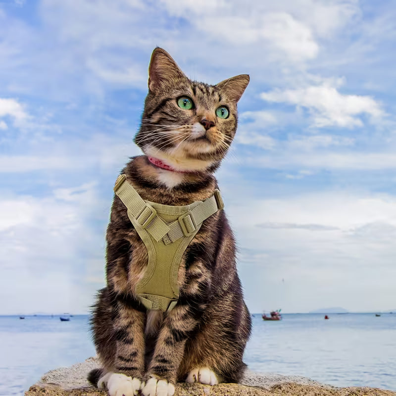Cat Tactical Vest Pet Chest Strap