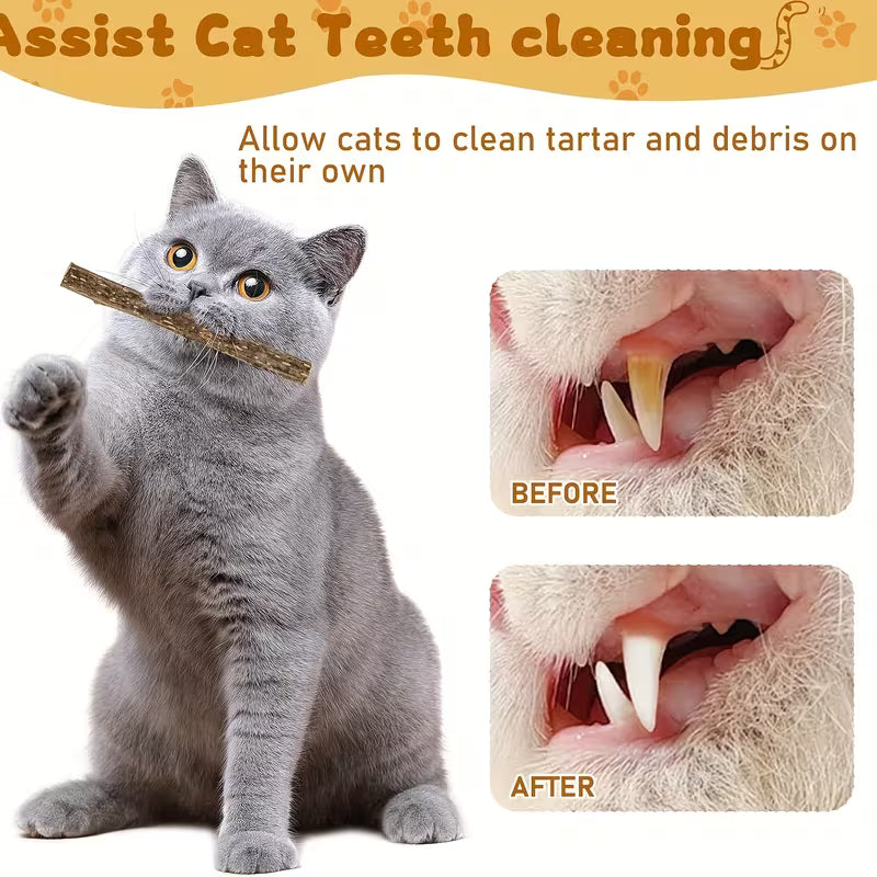 Biting Sticks for Kittens and Adult Cats