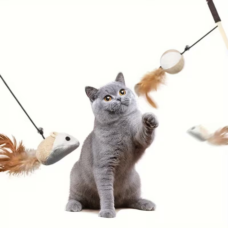 Cat Funny Toys