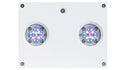 Ai Prime Hydra 32 Hd Smart Reef- AQUAILLUMINATION