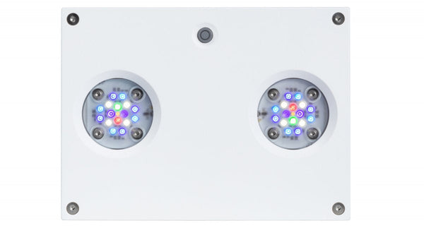 Ai Prime Hydra 32 Hd Smart Reef- AQUAILLUMINATION