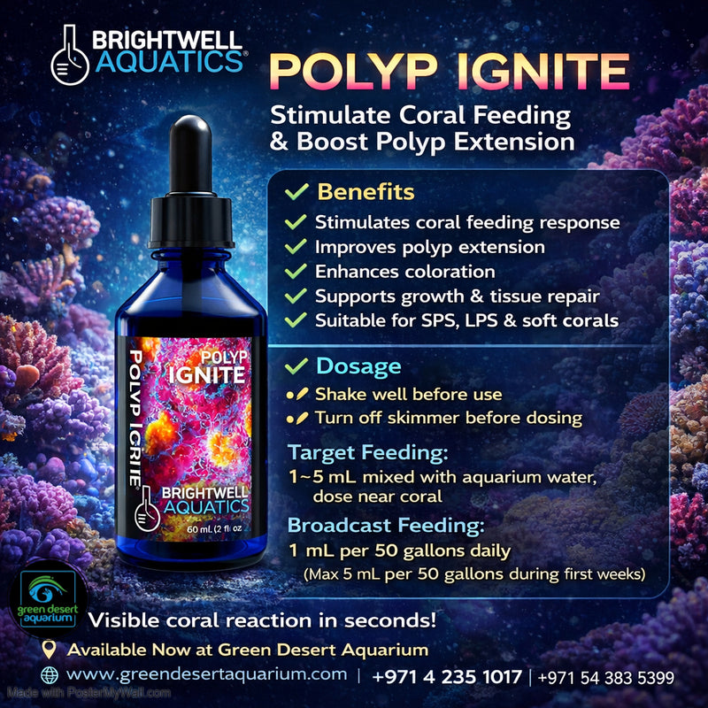 Brightwell Aquatics Polyp Ignite – Coral Polyp Stimulator & Amino Acid Supplement 60ml