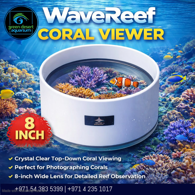WaveReef Coral Viewer – Crystal Clear Top-Down Reef Tank Viewing