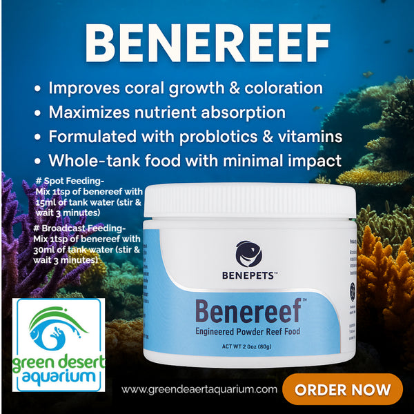 Benereef – Engineered Powder Reef Food | Coral & Reef Nutrition 40g