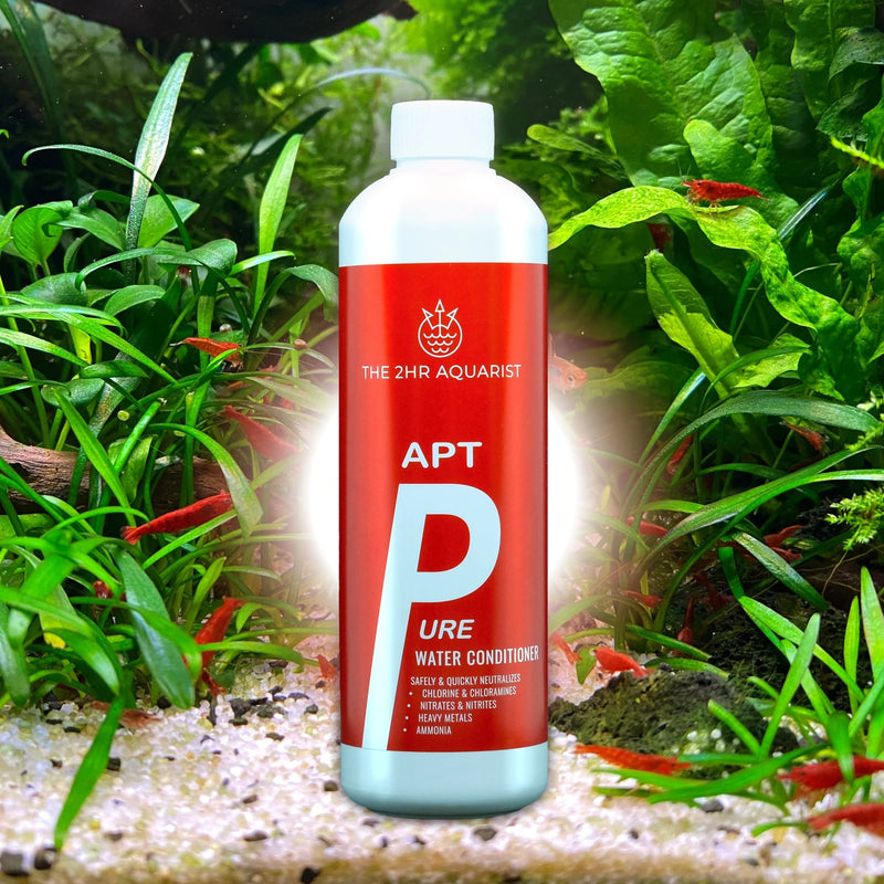2HR AQUARIST - Apt Pure
