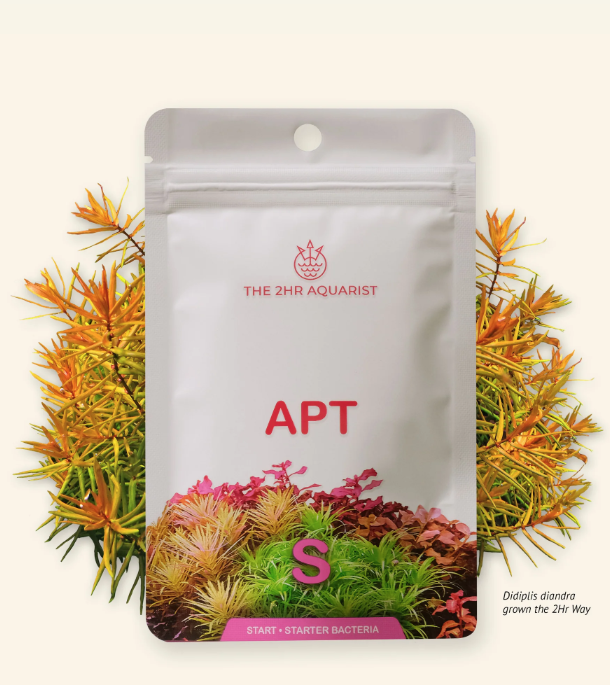 2HR AQUARIST - Apt Start 45g