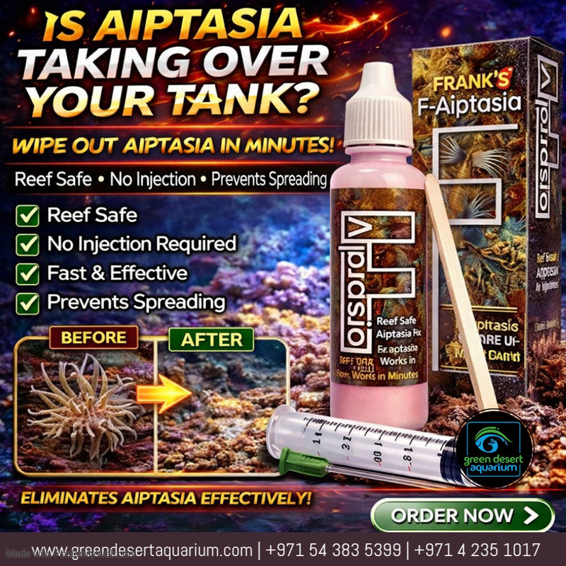 F-Aiptasia 1oz – Frank’s Aquarium Products Reef Safe Aiptasia Remover