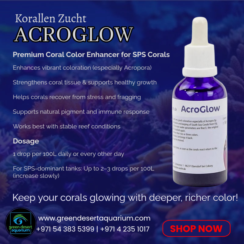 Korallen Zucht AcroGlow – Premium Coral Color Enhancer for SPS & Acropora Corals