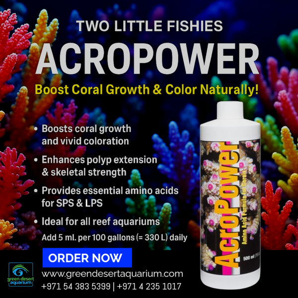 Two Little Fishies AcroPower