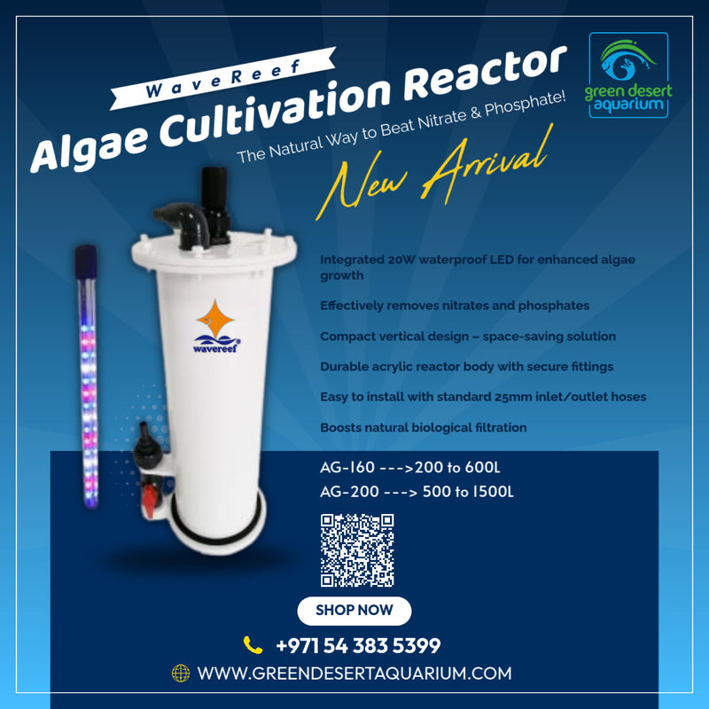 WaveReef AG-200 Algae Cultivation Reactor