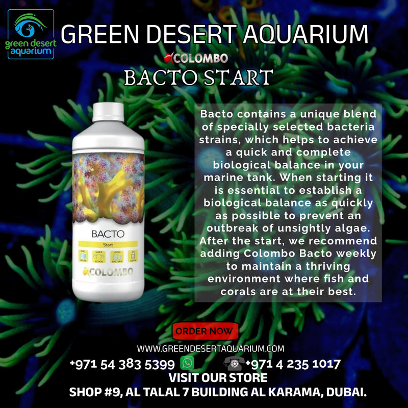 COLOMBO BACTO START 500 ML