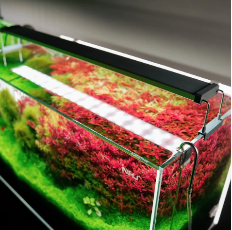 CHIHIROS - B SERIES LED LIGHTING SYSTEM