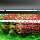 CHIHIROS - B SERIES LED LIGHTING SYSTEM