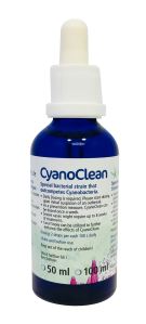 Korallen-Zucht CyanoClean