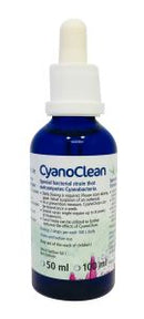 Korallen-Zucht CyanoClean