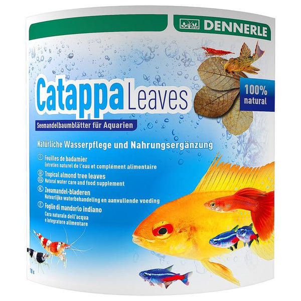 DENNERLE -  Catappa Leaves 10 X