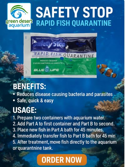 Safety Stop - Rapid Fish Quarantine Bath