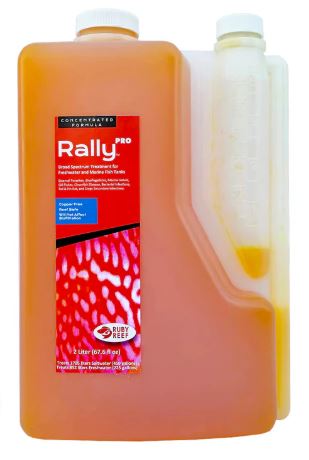 RUBY REEF - RALLY Pro 2 LITER