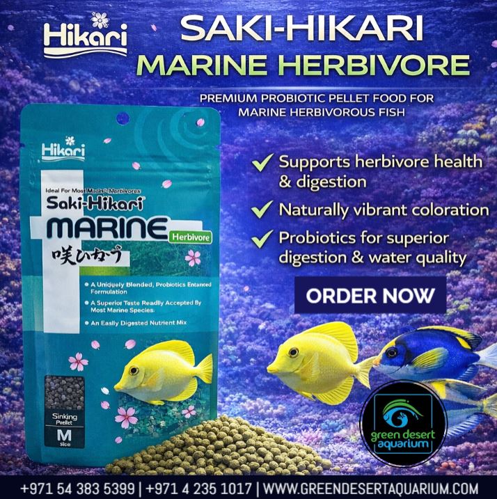 Saki-Hikari Marine Herbivore 90g | Probiotic Marine Fish Food — Green ...