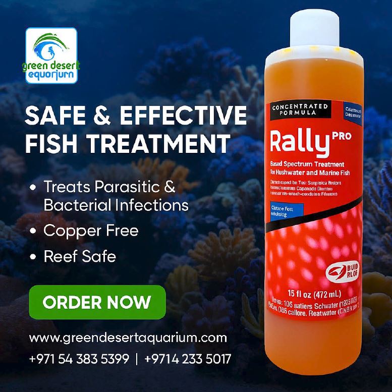 Rugby Reef RUBY REEF - Rally Pro 16oz — Green Desert Aquarium Trading LLC