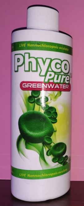 PHYCO PURE -GREEN WATER 8OZ