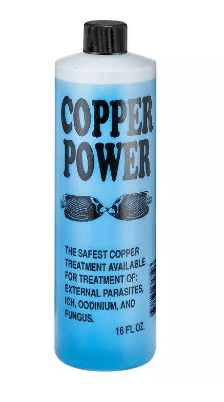 Endich Copper Power Parasite Treatment – Effective Ich & Parasite Control for Marine Fish