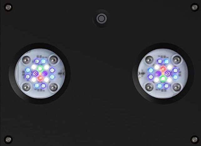 Ai Prime Hydra 32 Hd Smart Reef- AQUAILLUMINATION
