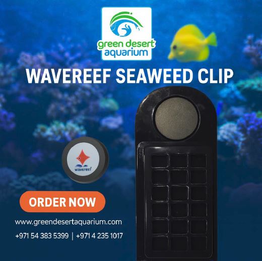 Wavereef Magnetic Seaweed Clip