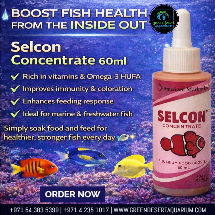 Selcon Concentrate 60ml