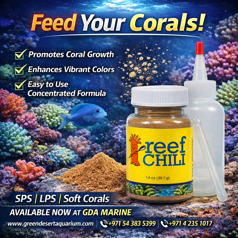 Bulk Reef Supply (BRS) Reef Chili Coral Food 0.65 oz | Premium Coral Nutrition for SPS, LPS & Soft Corals