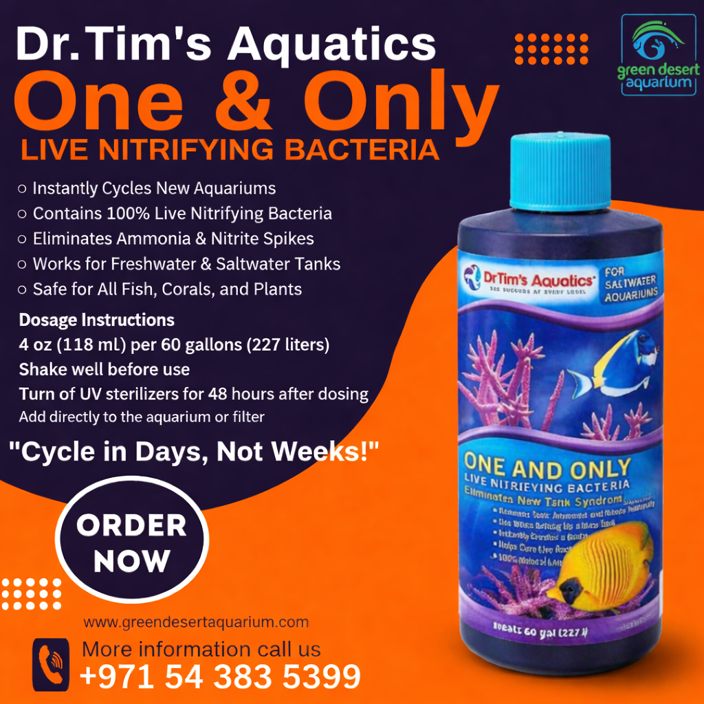 Effective Aquarium Cycling With Bacteria Supplements