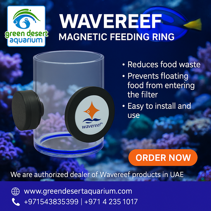 WaveReef Magnetic Feeding Ring - FF60M
