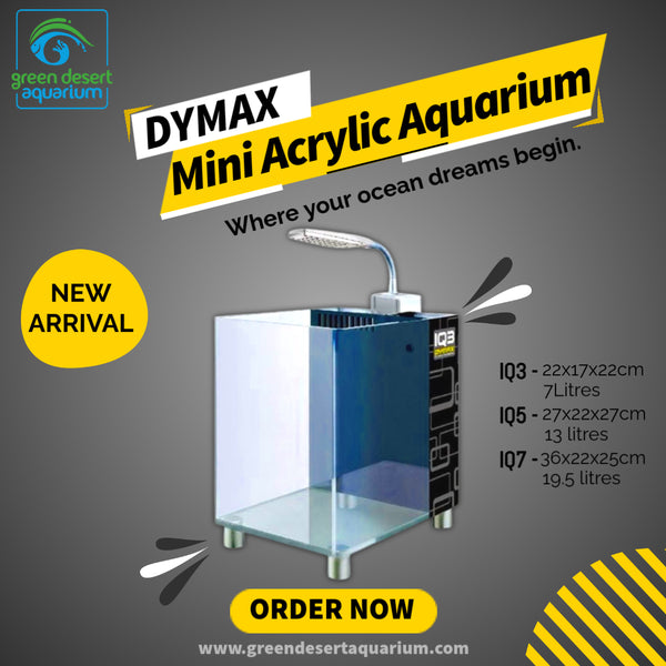 Dymax Nano Aquarium Iq3 Mini Acrylic Aquarium
