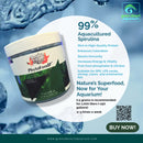 ReefLife Elite Phyto Food P