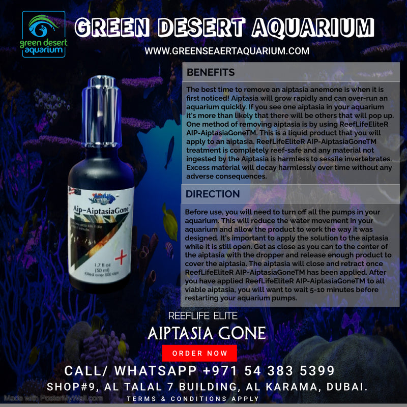 AIPTASIA GONE