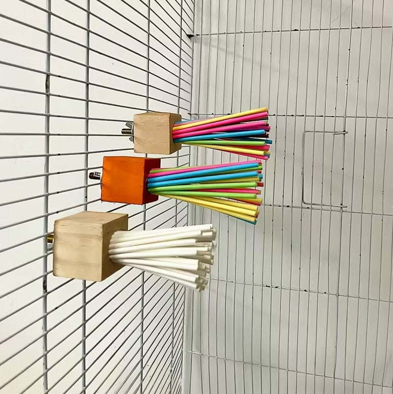 Colorful Wooden Parrot Toy