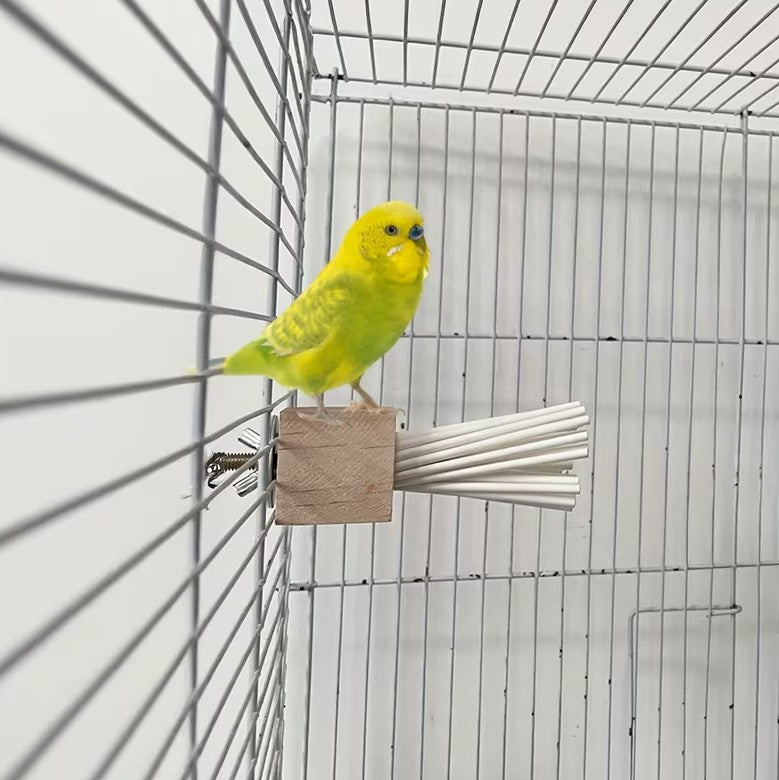 Colorful Wooden Parrot Toy