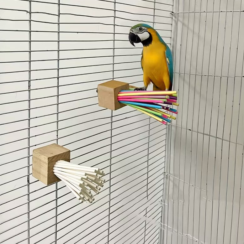 Colorful Wooden Parrot Toy