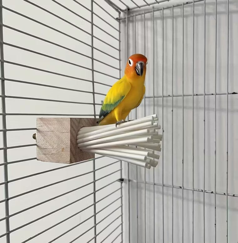 Colorful Wooden Parrot Toy