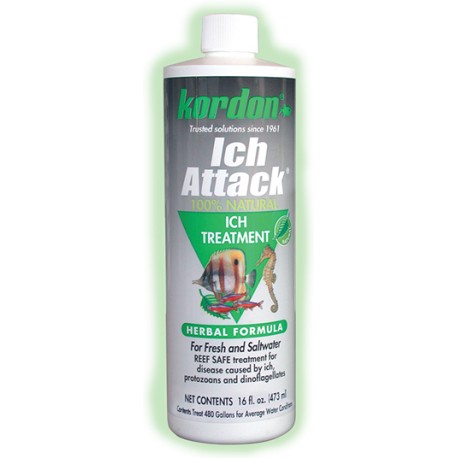 Kordon Ich Attack 16 Oz