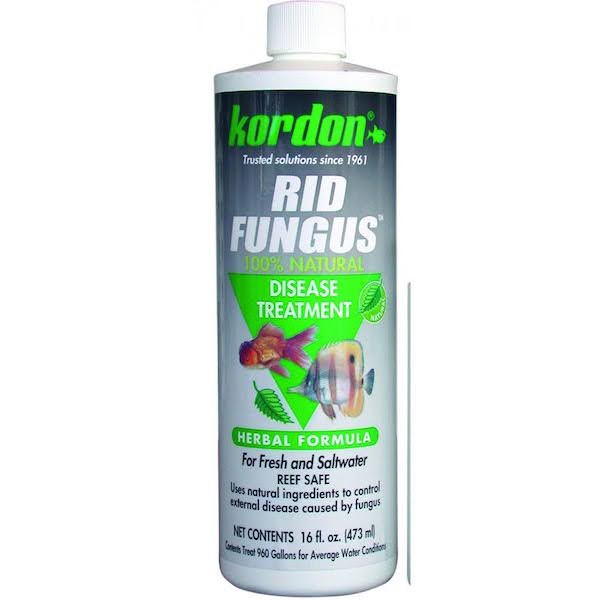 RID FUNGUS-4OZ