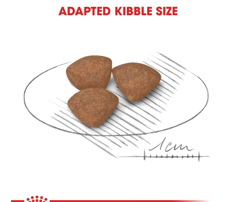 Royal Canin Size Health Nutrition Mini Puppy Dry Dog Food  800g