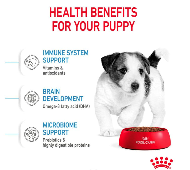 Royal Canin Size Health Nutrition Mini Puppy Dry Dog Food  800g