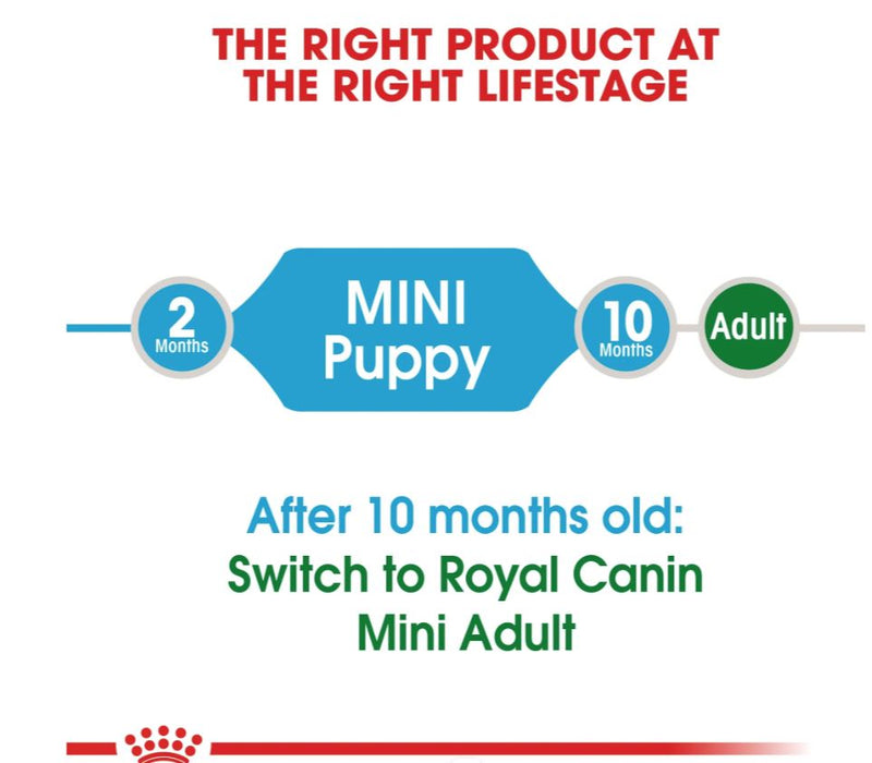 Royal Canin Size Health Nutrition Mini Puppy Dry Dog Food  800g