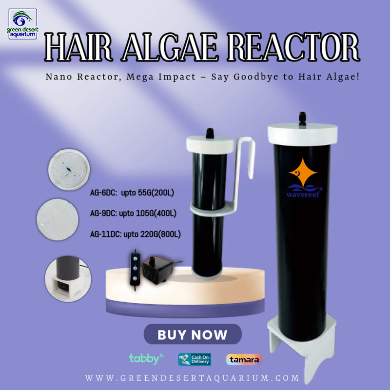 WaveReef AG-6DC Hair Algae Reactor